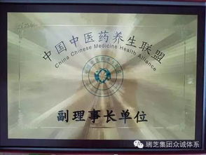 中醫(yī)藥養(yǎng)生保健服務(wù) 企業(yè)榮譽與行業(yè)卓越之路