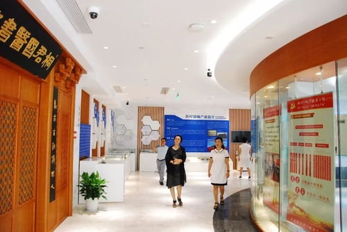 國標調研進行時 《健康管理養生保健服務基本規范》調研組深入江南養生文化村考察